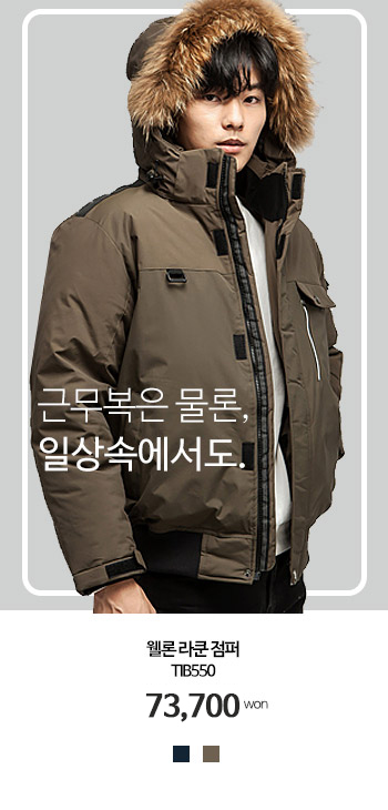 �ٹ���������