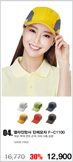 ��ü����,�����ڼ�,������,��ü��ȣȸ����,��ȣȸ����